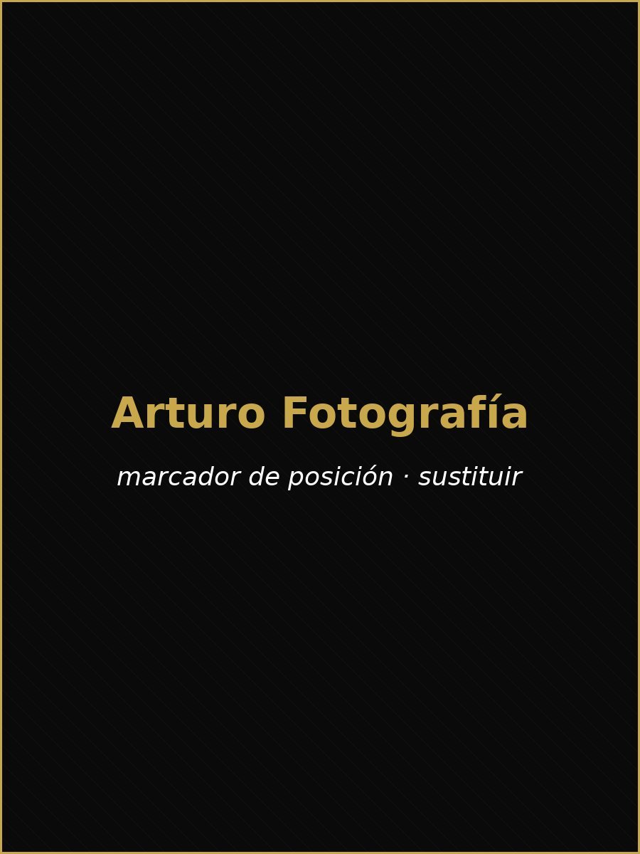 Camisetas